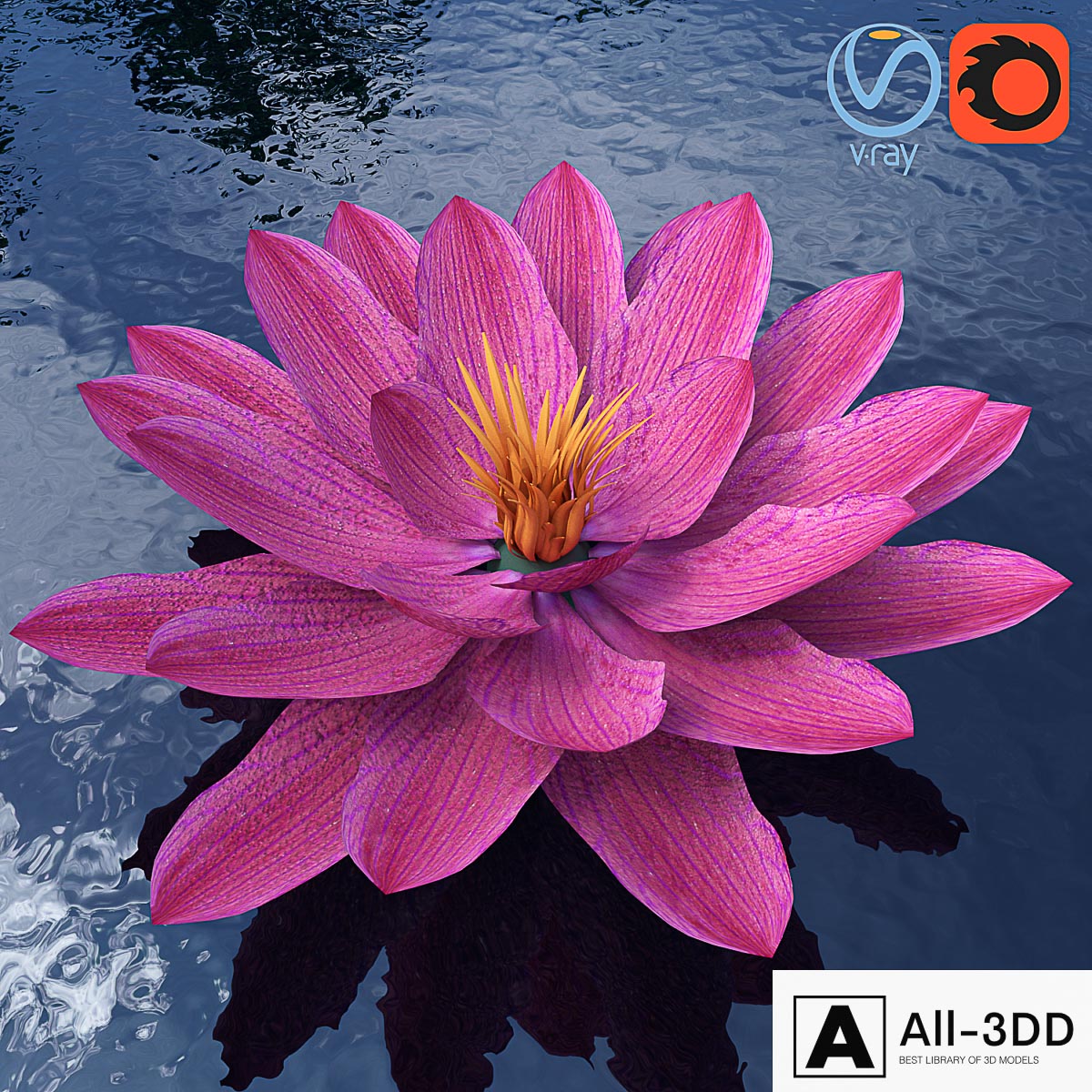 Water lily - Water lily modern interior 3D model Water lily - Water lily