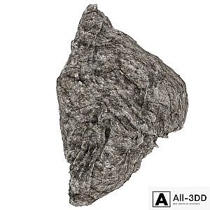 Rock