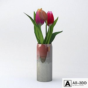 tulipinvaze