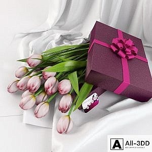 tulips in a gift box
