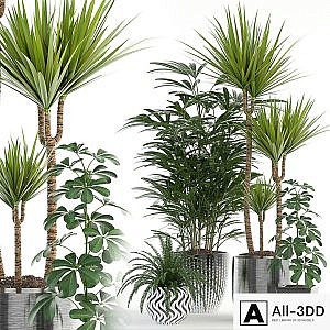 Plants collection 90