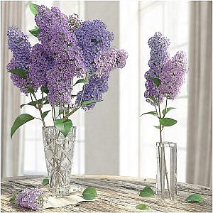 The LILAC / LILAC