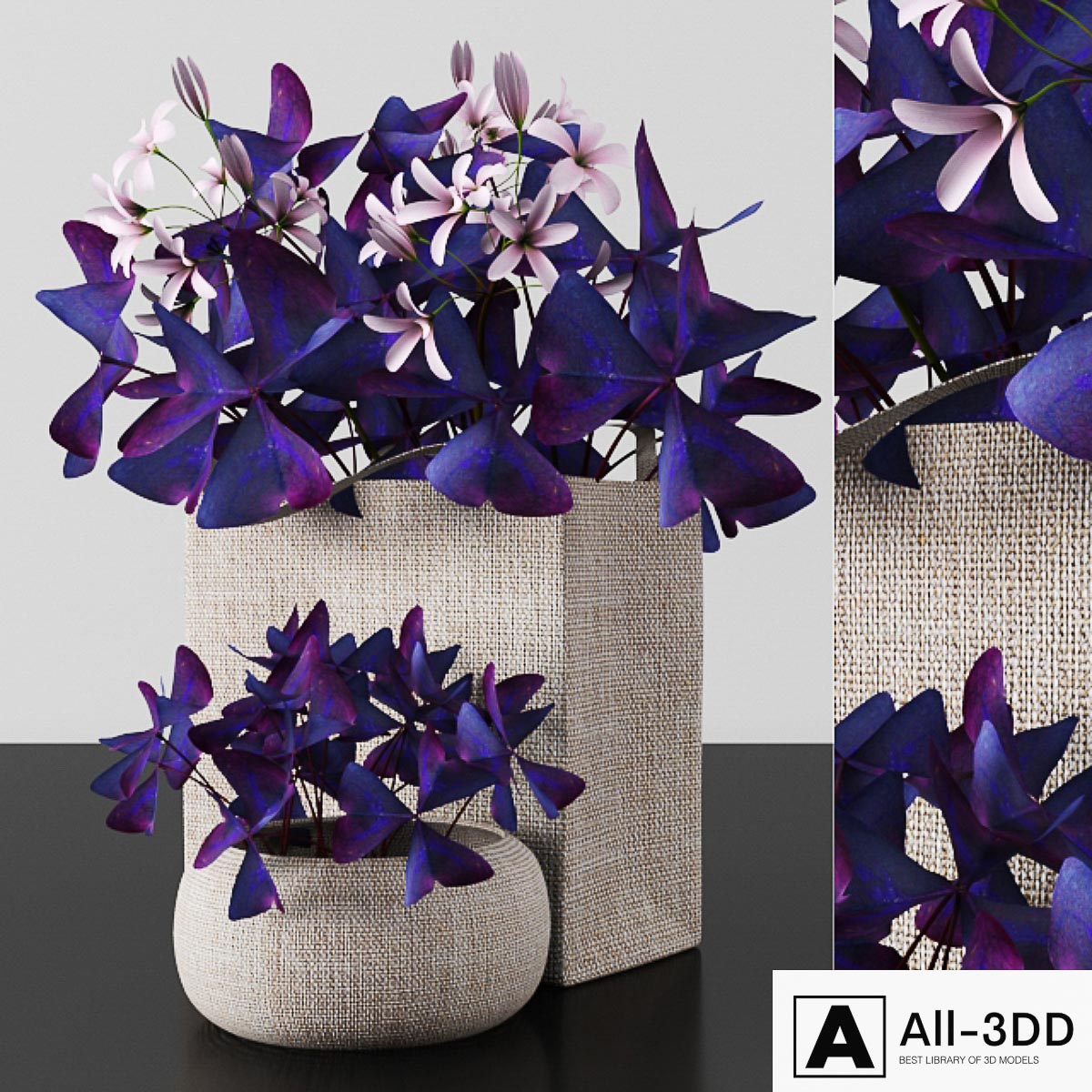 Plants tree 54 modern interior 3D model Plants tree 54