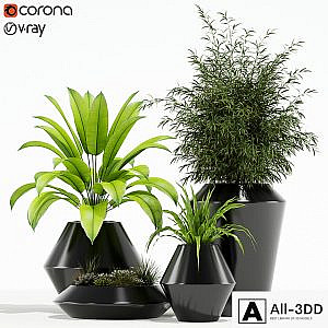 Plants collection 133 Westelm Modern Planters