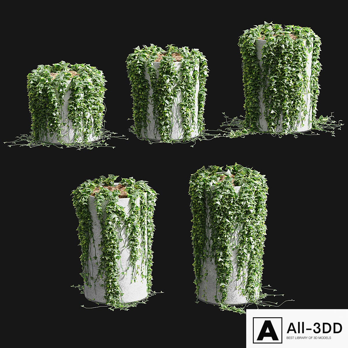 Ivy in round tubs. 5 models modern interior 3D model Ivy in round tubs. 5 models