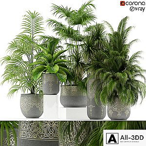 Plants collection 147 handmade pots East style