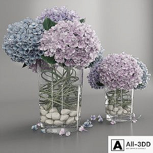 Hydrangea purple blue
