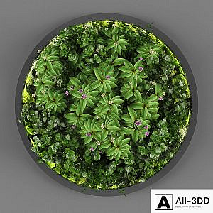 Vertical garden 113