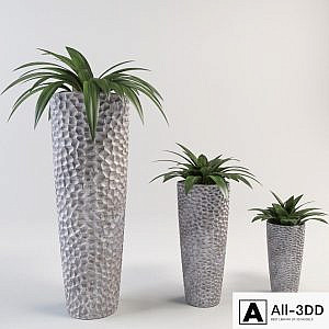 A large vase with a plant