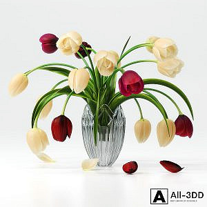 TULIP 1