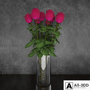 Roses