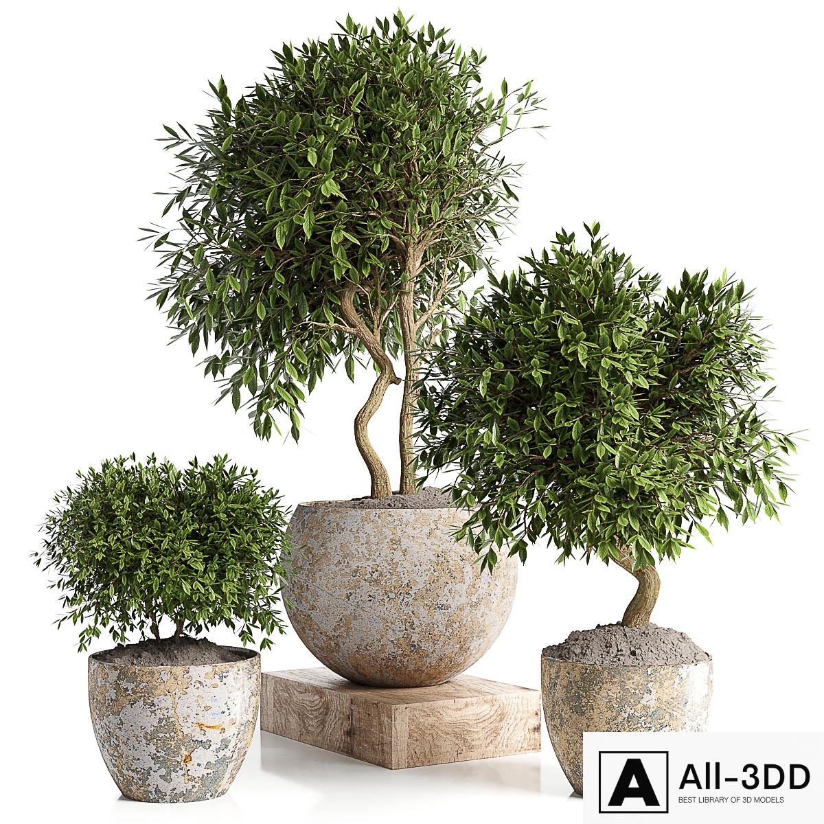 Outdoor plant in concrete pot 12 modern interior 3D model Outdoor plant in concrete pot 12