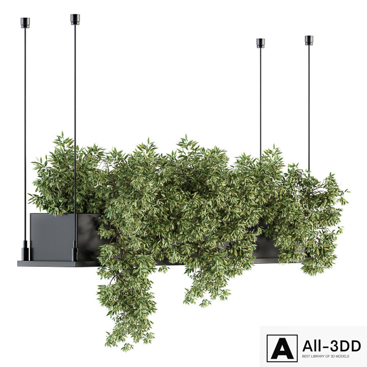 indoor Plant Set 217 - Hanging Plant Box modern interior 3D model indoor Plant Set 217 - Hanging Plant Box