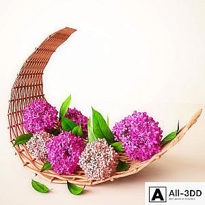 Pink Flower