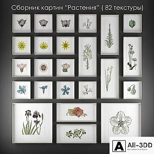 Collection of paintings "Plants"