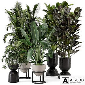 Indoor Plants in rusty Concrete Pot on Metal Shelf - Set 242