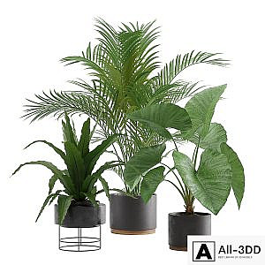 Indoor Plants Pack 08
