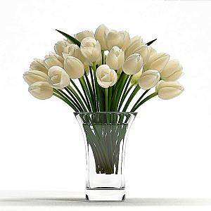 LIGHT TULIP