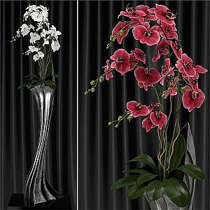 Orchid (phalaenopsis) bouquet 2
