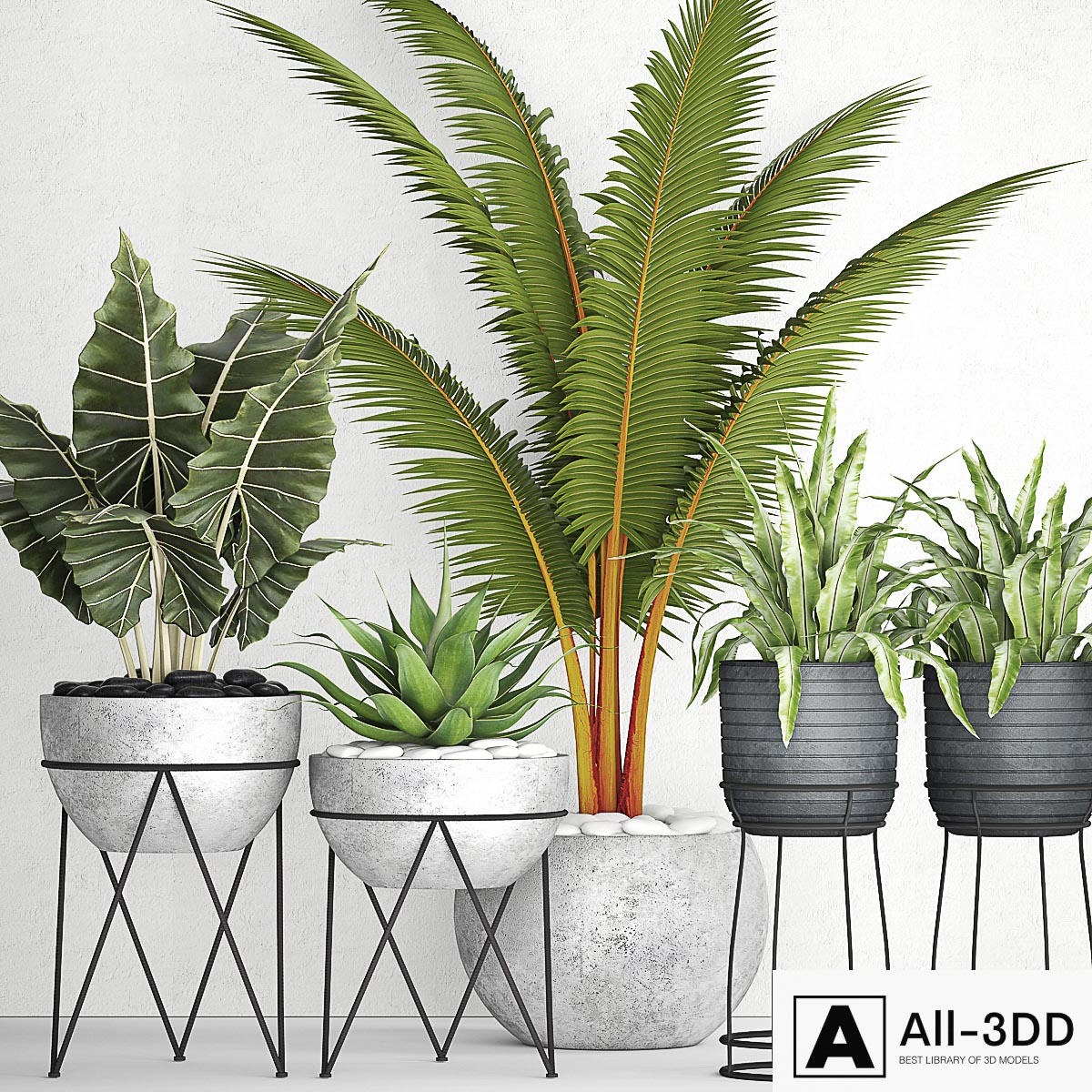 The collection of plants in pots 17. coconut palm, alocasia, concrete pot, stand, flower, asplenium, agave modern interior 3D model The collection of plants in pots 17. coconut palm, alocasia, concrete pot, stand, flower, asplenium, agave