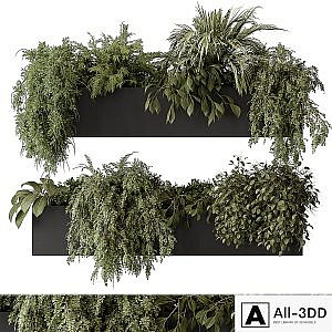 indoor Plant Set 297 - Hanging Plants