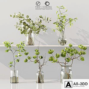 Collection Indoor Plants 025