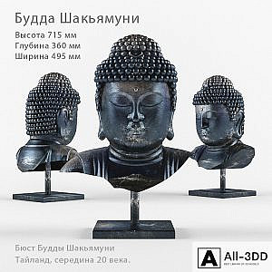 Bust Of The Buddha