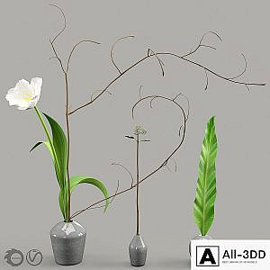Decorative set