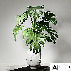 Monstera vase DORA MAAR by Jonathan Adler