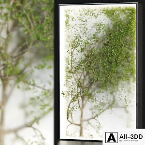 Plants in the light box vol 176