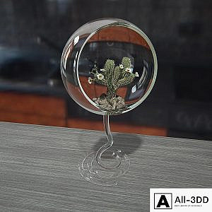 Cactus in eco vase