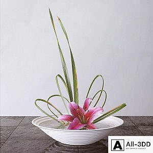 Lily