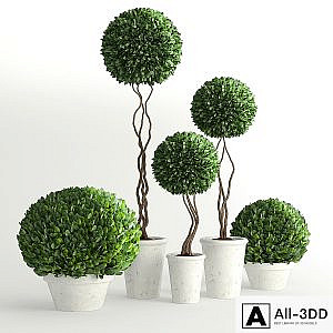 Collection of Plants 2