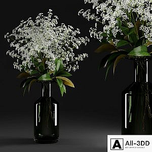 Gypsophila and magnolia leaves in bottle