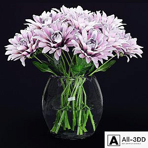 Chrysanthemums