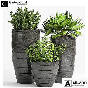 PLANT -31