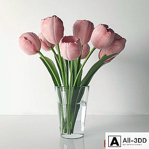 Tulips in a vase