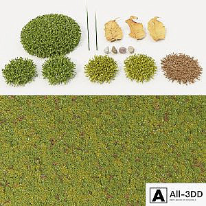 moss_collection