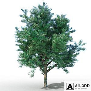 vysokopoligonalnye tree