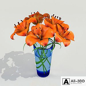 Lilies