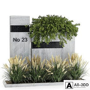 Outdoor Garden set bush and Ivy plants set_14