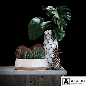 Set decoration with red cactus