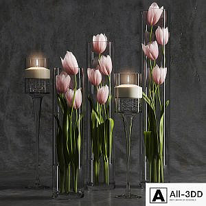 Tulips 2