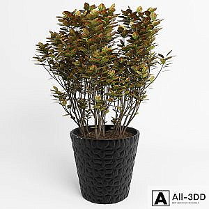 Decorative tree