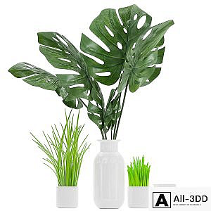 Plant 04