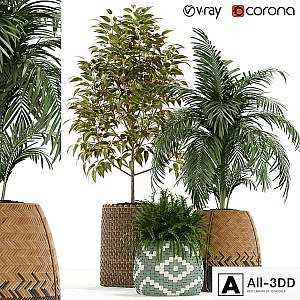 Plants collection 126