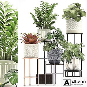 Collection of plants 333. Flower shelf, stand, Zamioculcas, monstera, Bromelia, Philodendron, houseplants, stand, Scandinavian style, flower