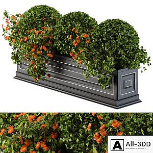 Planter Box For Windows Classic