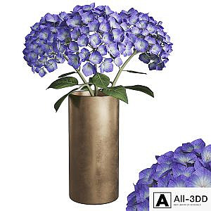 Hydrangea branches in a vase_02