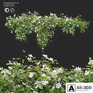 Hanging Plant 15